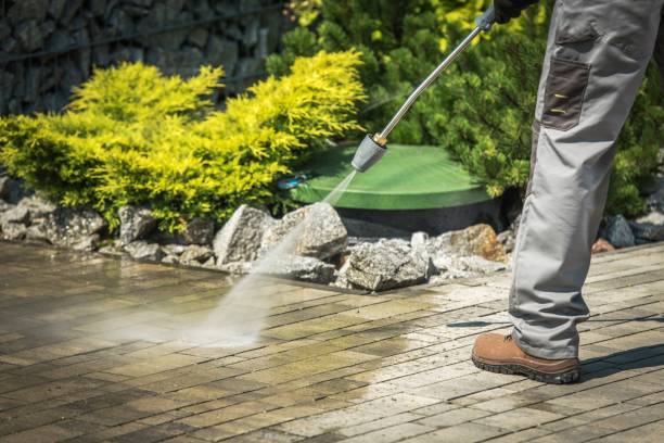 Animal Enclosure Cleaning in Leisure World, MD